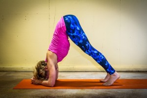 Dolphin Pose C